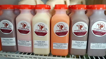 flavored milks by Stillbrook Acres Farm